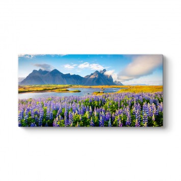 Vestrahorn Dağı Kanvas Tablo