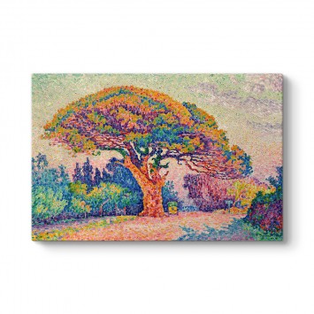 Paul Signac - The Pine Tree at Saint Tropez Tablosu
