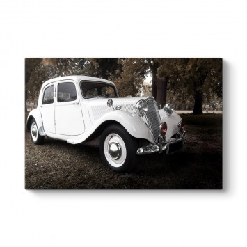 Vintage Car Tablosu
