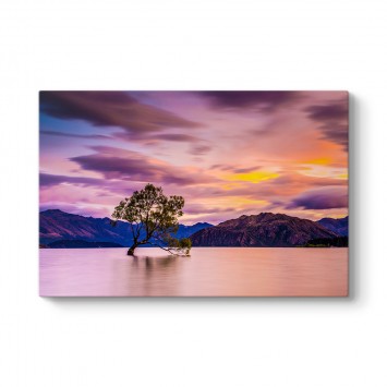 Wanaka Ağacı Tablosu