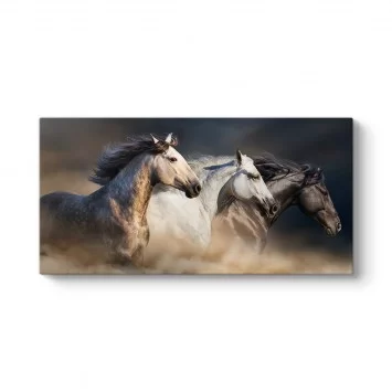 Koşan Arap Atları Tablosu