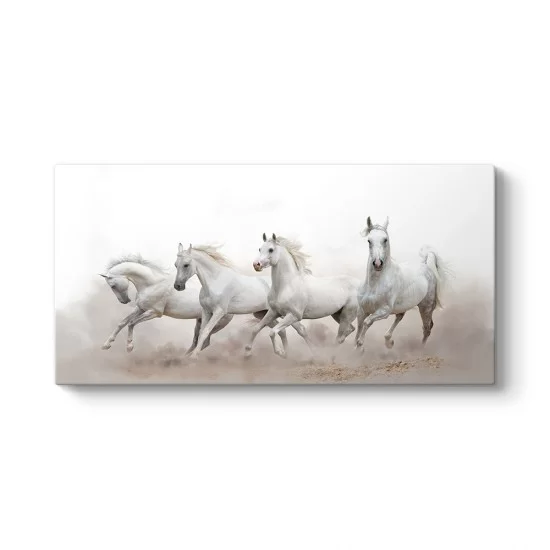 Panorama Beyaz Koşan Atlar