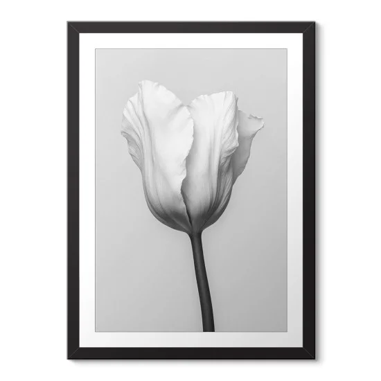 Siyah Beyaz Tek Çiçek Çerçeveli Poster