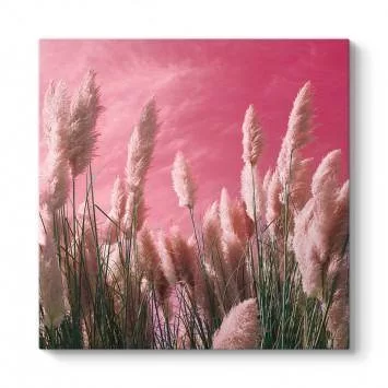 Pembe Zeminli Pampas Tablosu