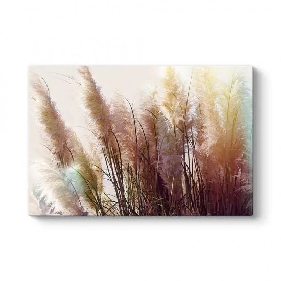 Soft Pampas Tablosu