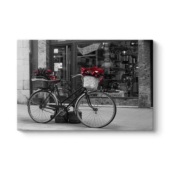 Kırmızı Çiçekli Bisiklet Tablosu