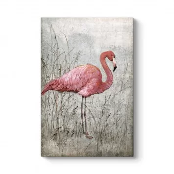 Amerikan Flamingo Tablosu