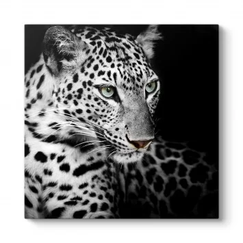 Leopar Portre Tablosu