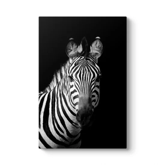 Zebra Portresi Tablo