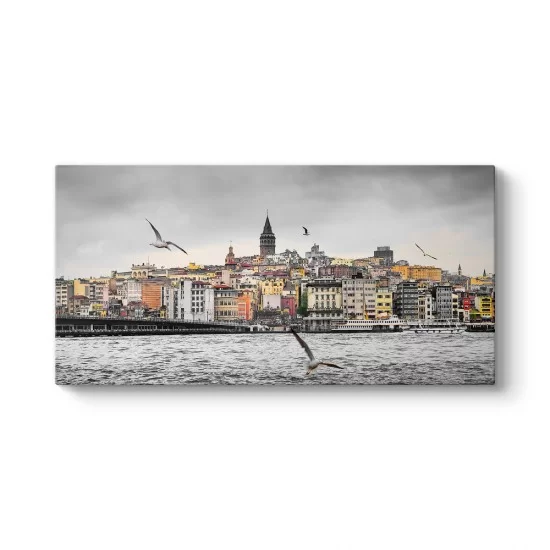 Martılar ve Galata Tablosu