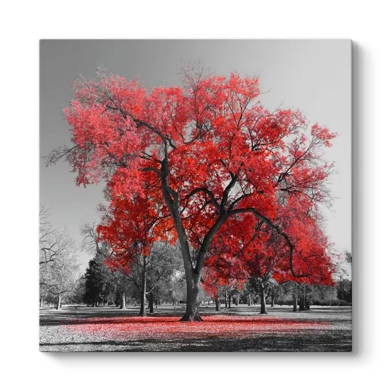 Büyük Kırmızı Ağaç Tablosu