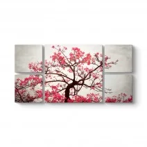 Model 34