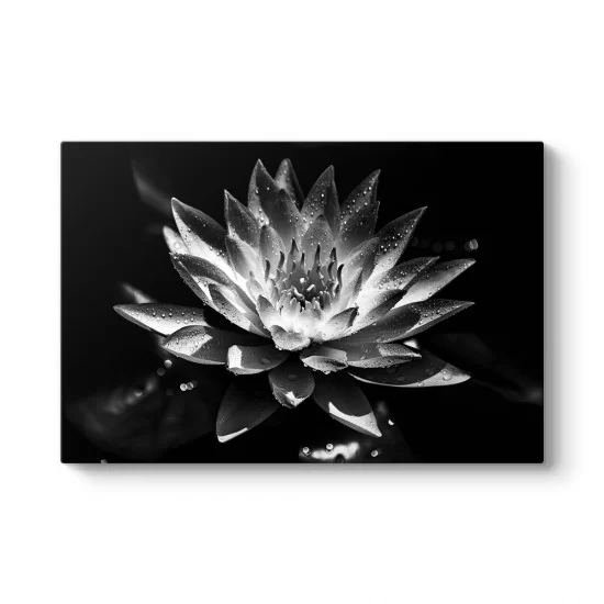 Siyah Beyaz Lotus Çiçeği Tablosu