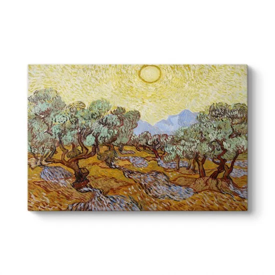 Vincent Van Gogh - Olive Trees Tablosu