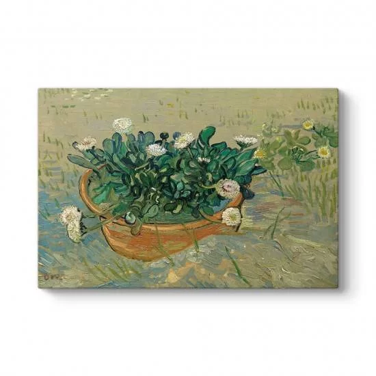 Vincent Van Gogh - Papatyalar Tablosu