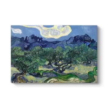 Vincent Van Gogh - Zeytin Ağaçları Tablosu