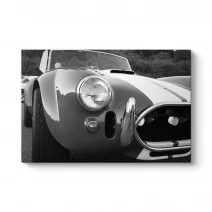 Model 1