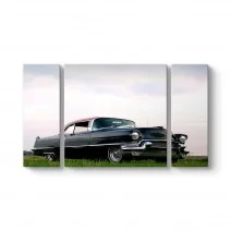 Model 33