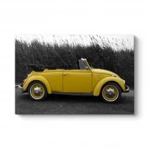 Model 1