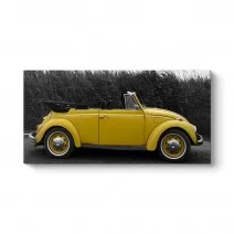 Model 5