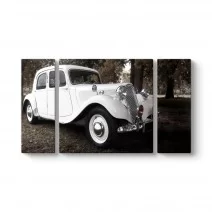 Model 33