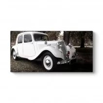 Model 5