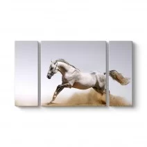 Model 33