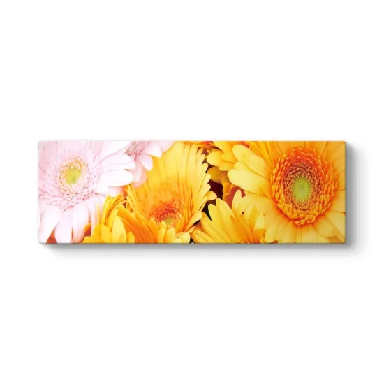 Pembe Sarı Çiçek Panorama Tablo