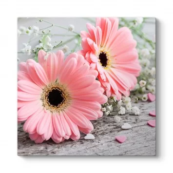 Pembe Gerbera Çiçeği Tablosu