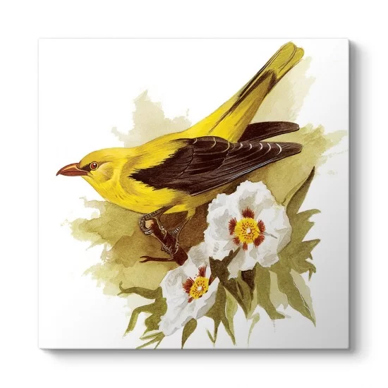 Goldfinch Bird Tablosu
