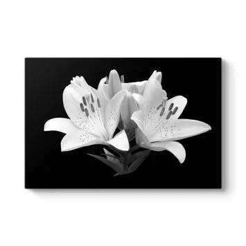 Siyah Beyaz Soyut Çiçek Tablosu