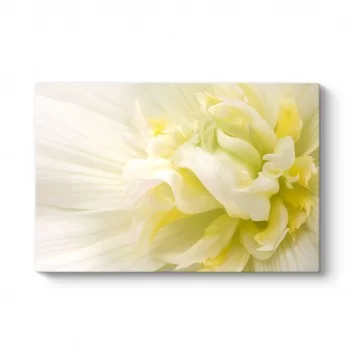 White Flower III Tablosu