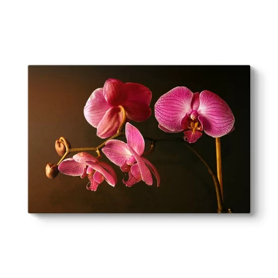Orkide Art Tablosu