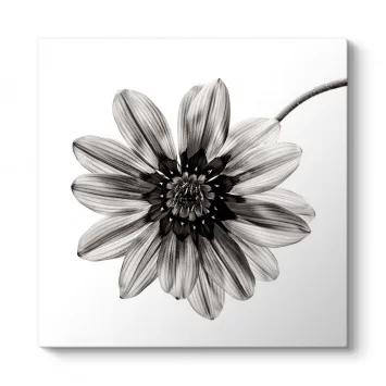 Siyah Beyaz Çiçek I Tablosu