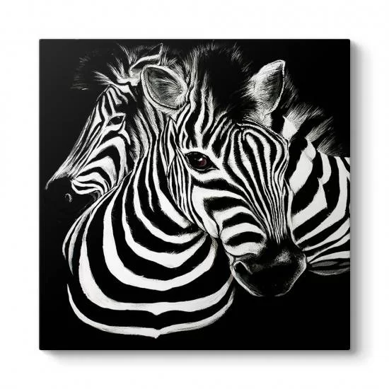 Siyah Beyaz Zebra Tablosu