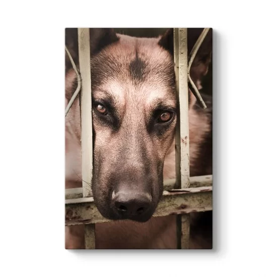 Kurt Köpeği Tablosu