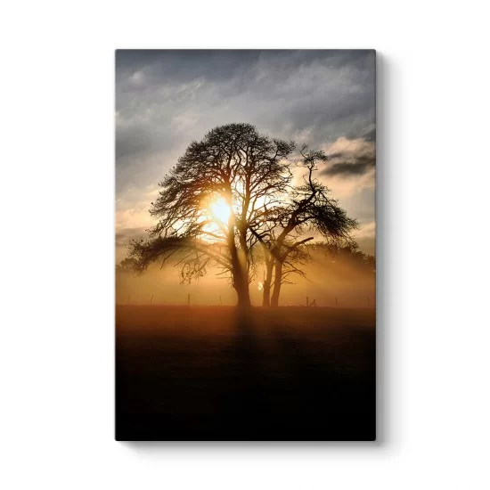 Ağaç ve Güneş Tablosu
