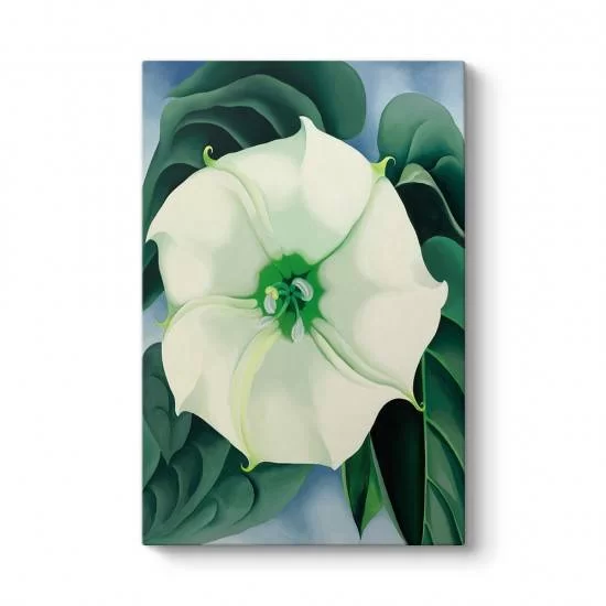Georgia OKeeffe - White Flower Tablosu