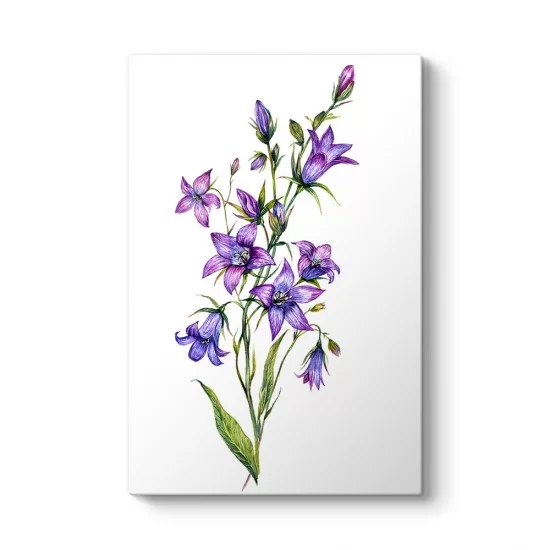 Bluebell Çiçeği Kanvas Tablo