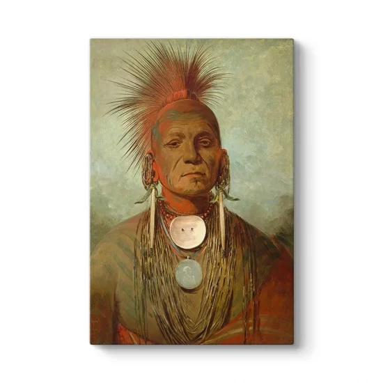 George Catlin - Medicine Man Kanvas Tablo