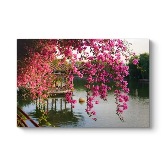 Pembe Bahar Çiçekleri Çin
