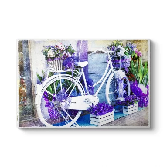 Vintage Mor Çiçekli Bisiklet