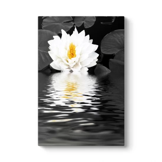 Nilüfer Çiçeği Siyah Beyaz Tablo