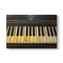 Model 1