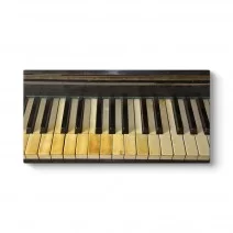 Model 5