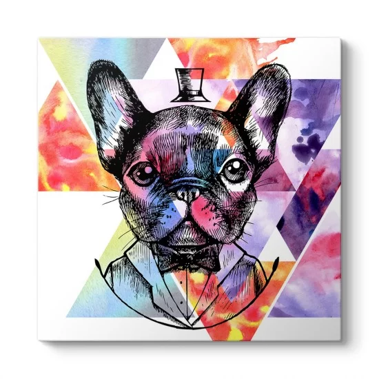 King French Bulldog