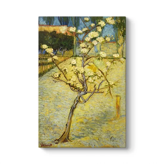 Vincent Van Gogh - Çiçekli Armut Ağacı Tablosu