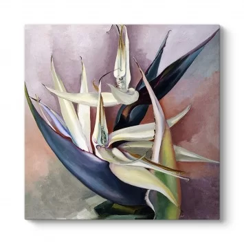 Georgia OKeeffe - White Bird of Paradise Tablosu