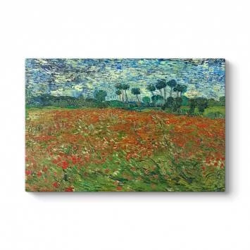 Vincent Van Gogh - Poppt Field  Tablosu