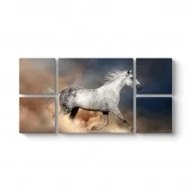 Model 34